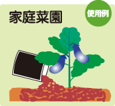 家庭菜園