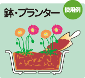 鉢・プランター