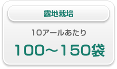 露地栽培 10アールあたり 100〜150袋